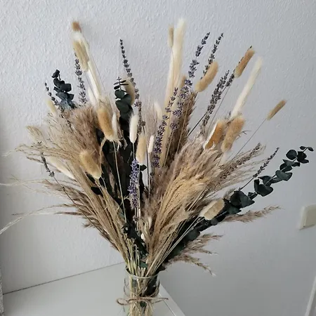 Einfamilienhaus Mit Zwei Separaten Zimmern In Spelle, Niedersachsen De * Spelle