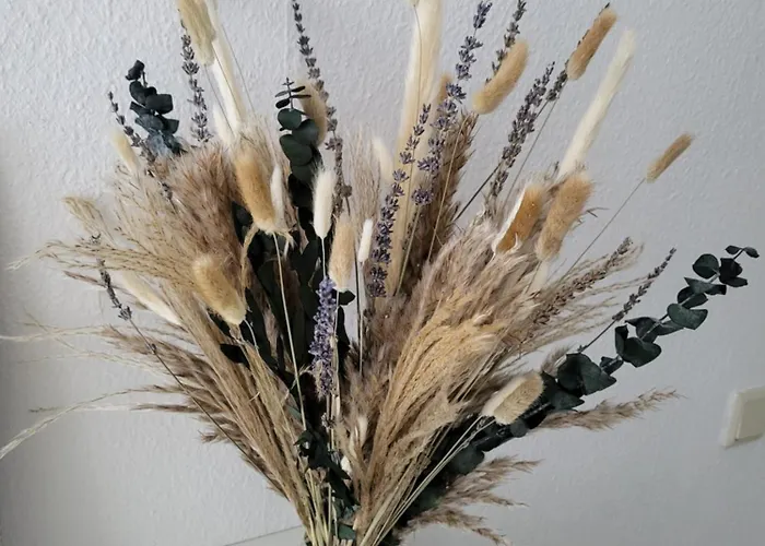 Einfamilienhaus Mit Zwei Separaten Zimmern In Spelle, Niedersachsen De * Spelle